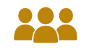 Pro plan icon